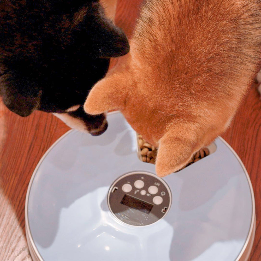 Distributeur Automatique de Croquettes Programmable 6 Repas