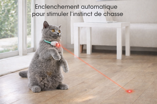Collier Laser Intelligent pour Chat – Jeu Automatique Anti-Ennui